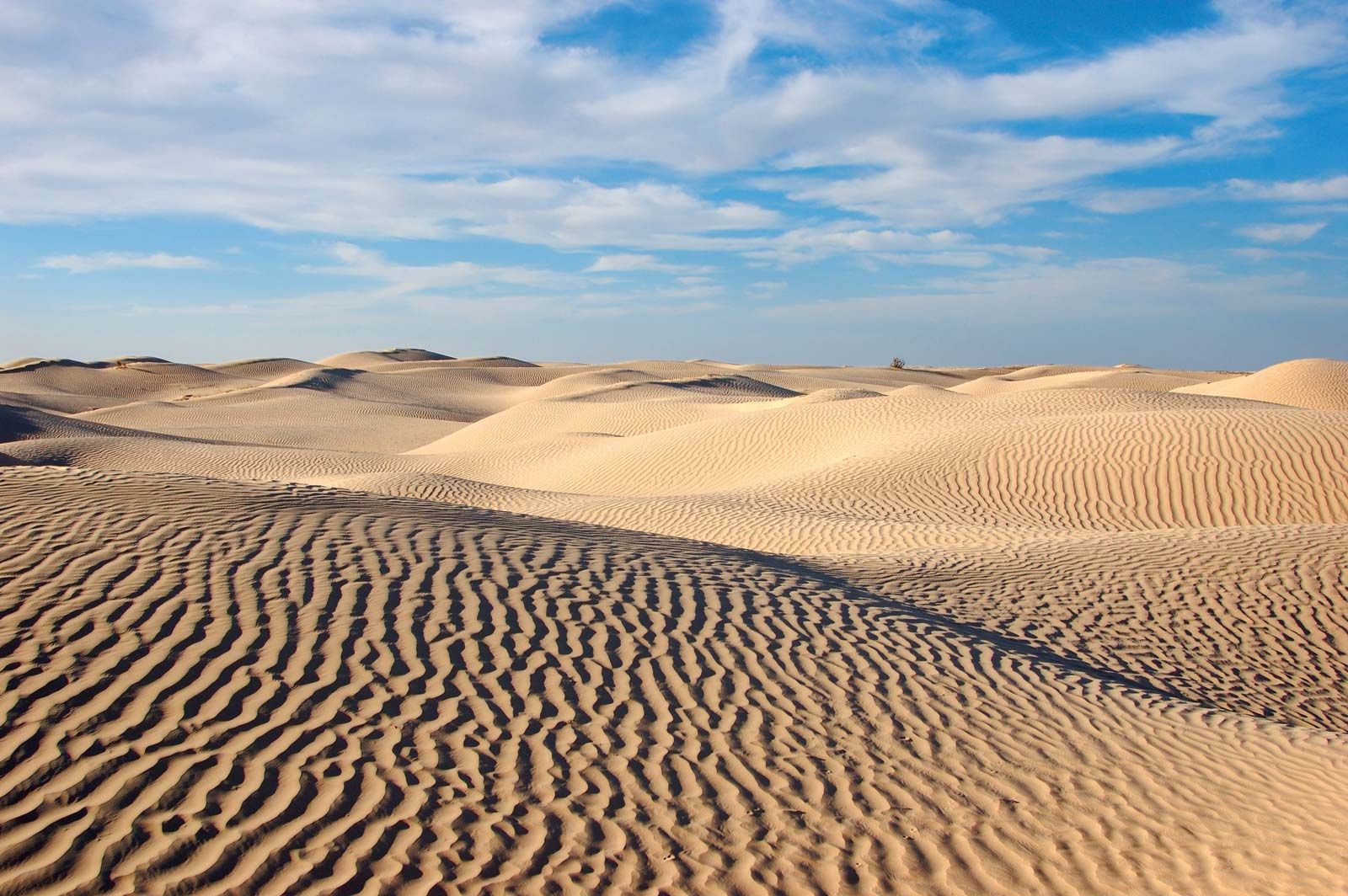 Sahara-Morocco.jpg