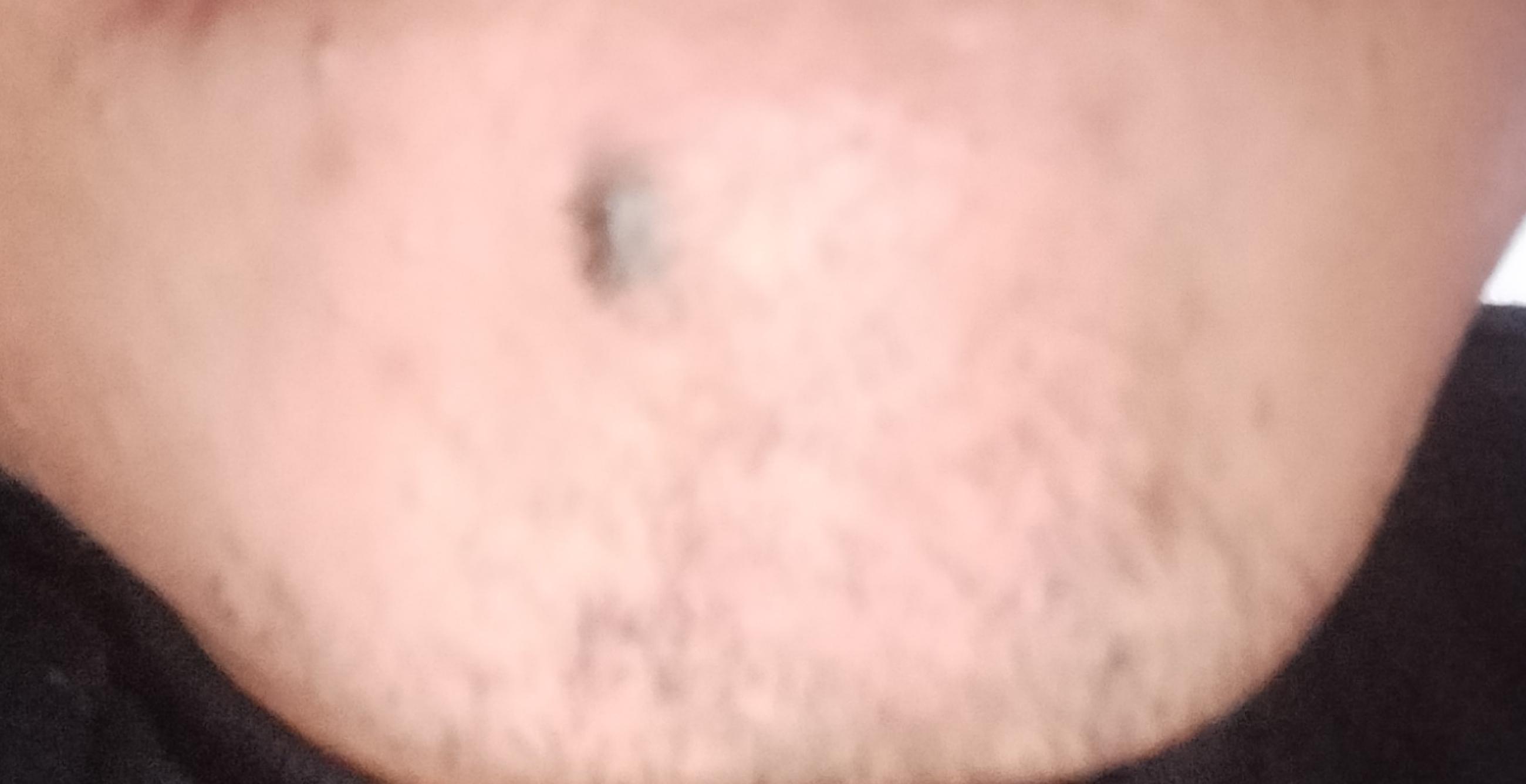 6924973_1000056855.jpg