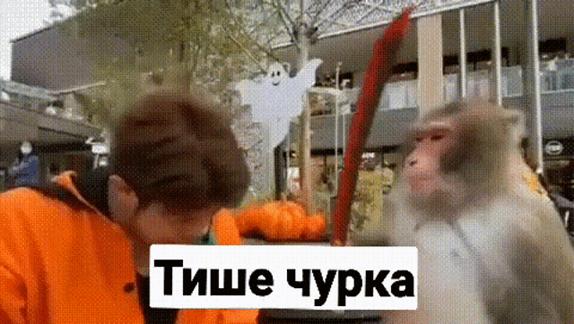 tenor.gif