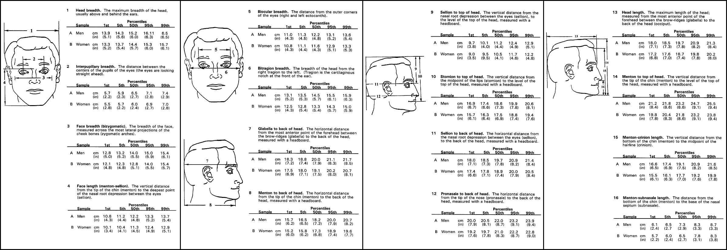 HeadAnthropometry.JPG
