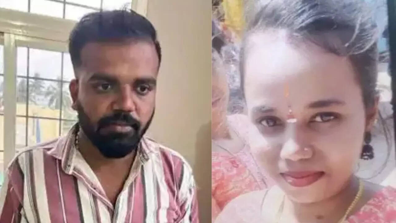 timesofindia.indiatimes.com