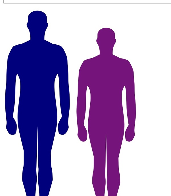 How tall is a 5'6 (168cm) person compared to a 6'0 (183cm) person? - Quora