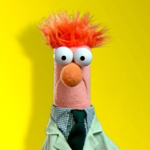 Muppets5.JPG