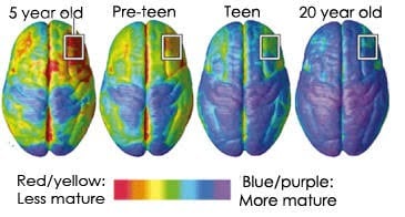 www.yourbrainonporn.com