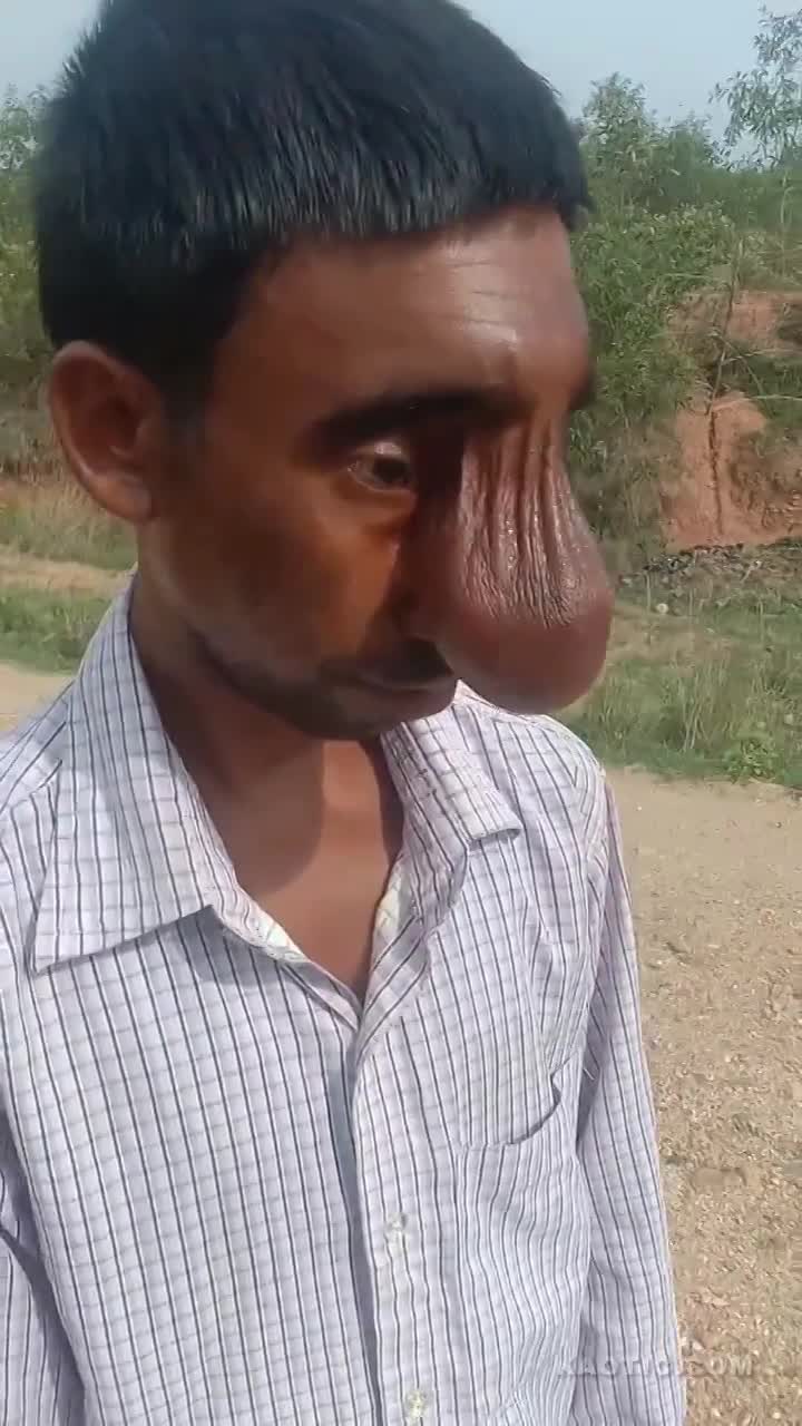 www.livegore.com