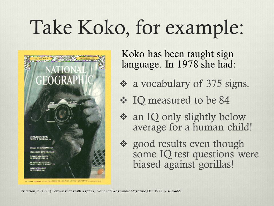 Methodology Technology, IQ, and Koko the Gorilla. - ppt download