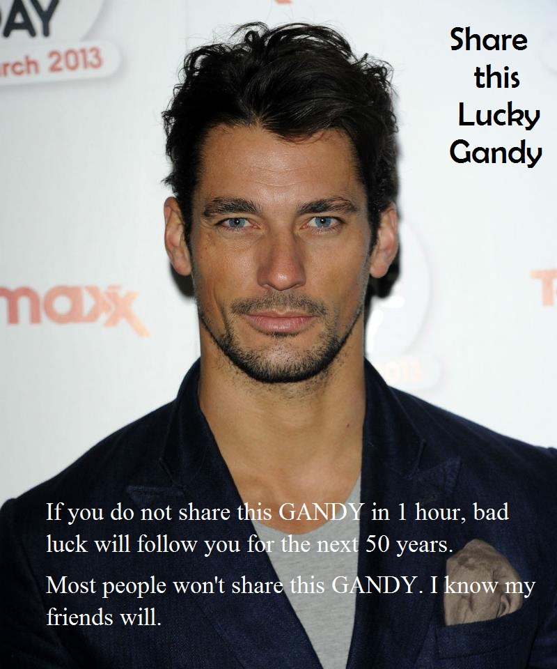 3137360_rare_gandy.jpeg