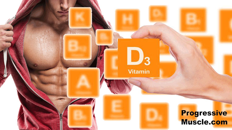 www.progressivemuscle.com