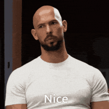 a bald man with a beard is wearing a white shirt that says nice on it