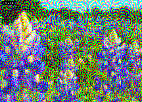 DQDA.gif