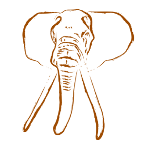 tsavotrust.org
