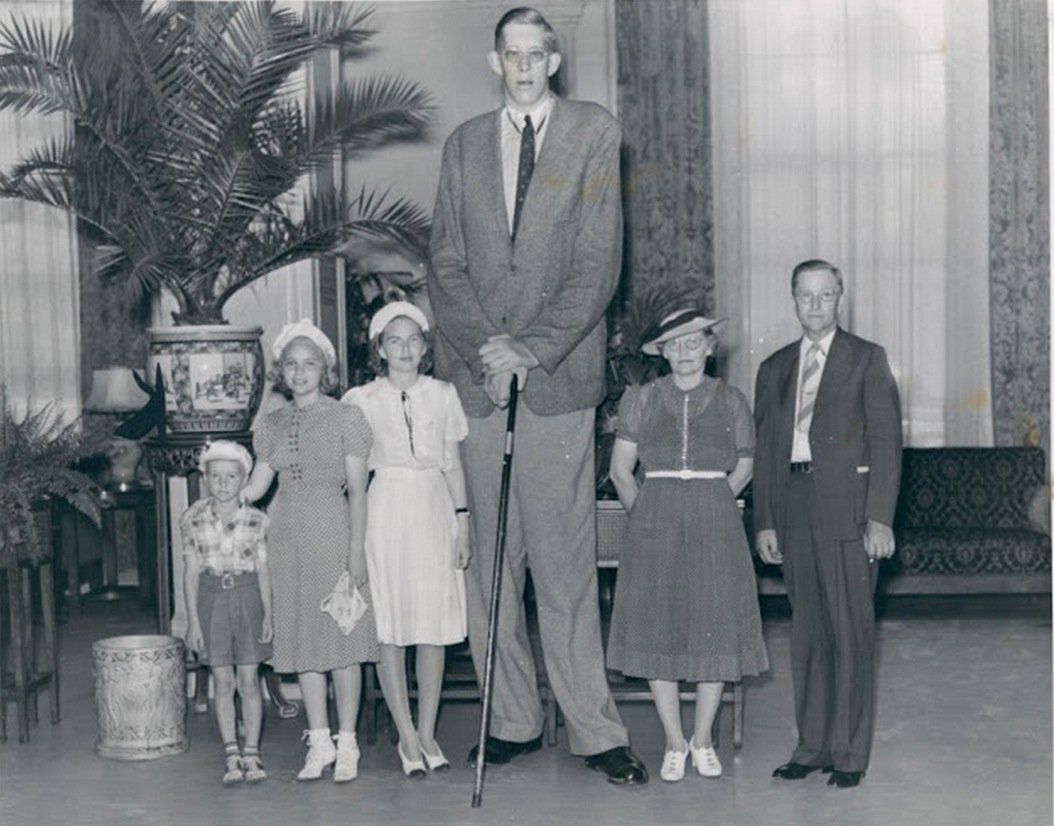 wadlow-4375a4518744673830eba4776,0,0,0,0.jpg