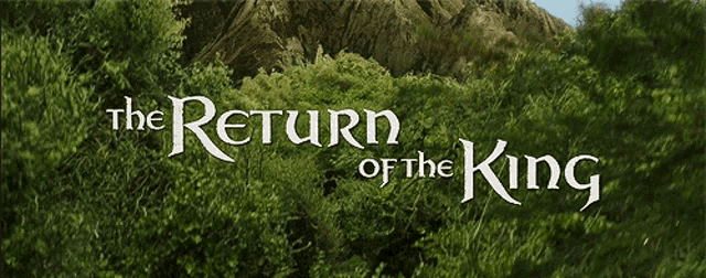 Return Of The King GIFs | Tenor