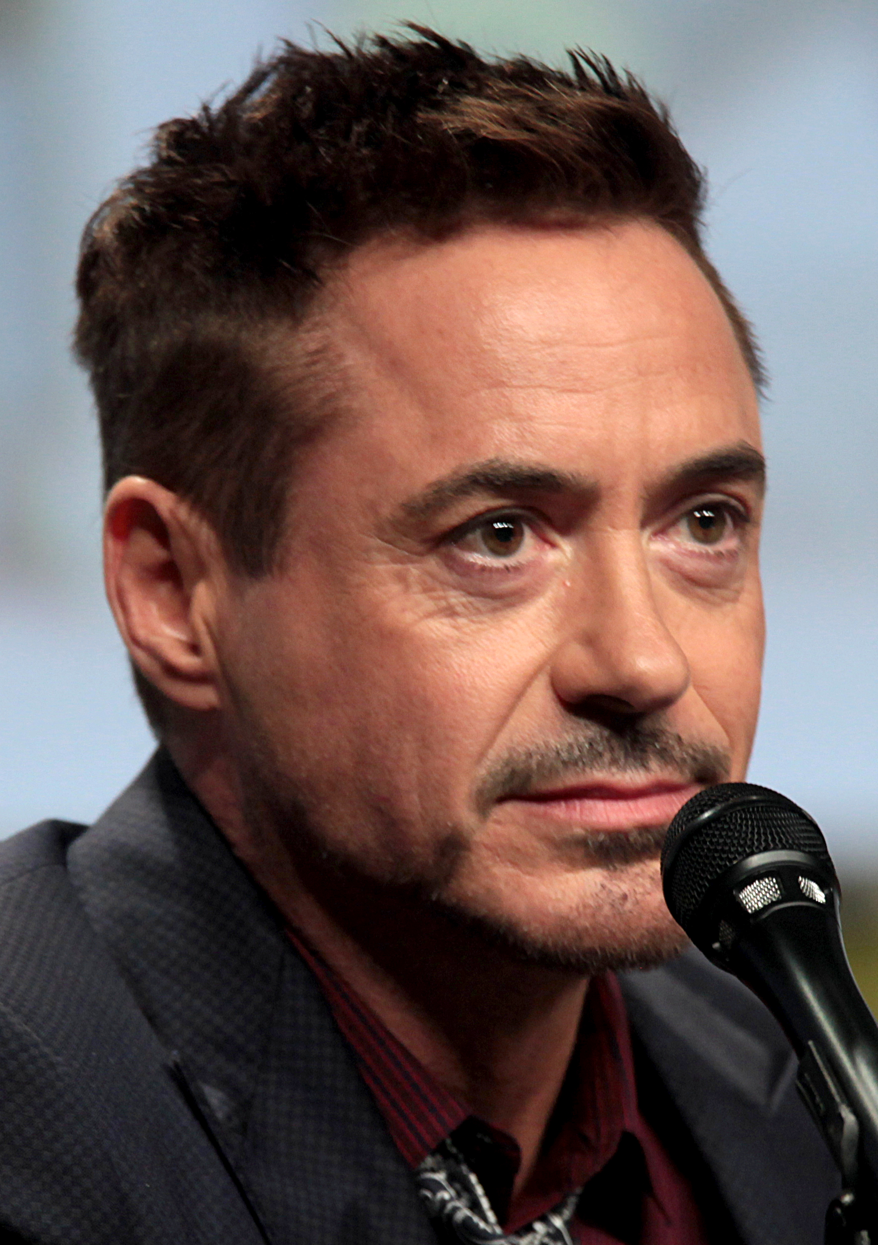 Robert_Downey_Jr_2014_Comic_Con_%28cropped%29.jpg