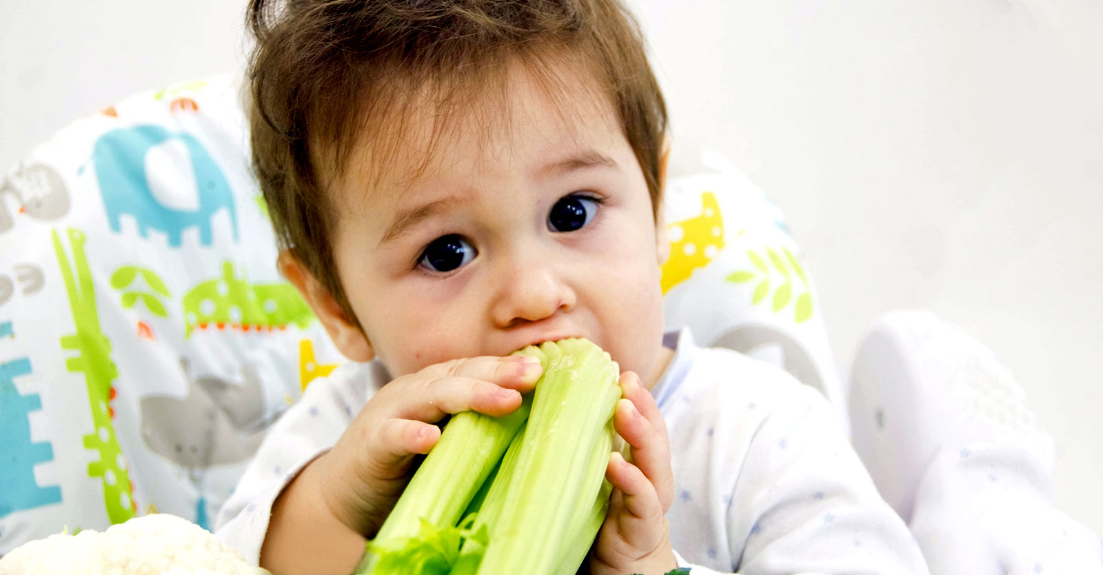 childrenshealthdefense.org