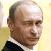 Vladimir Putin Russia GIF