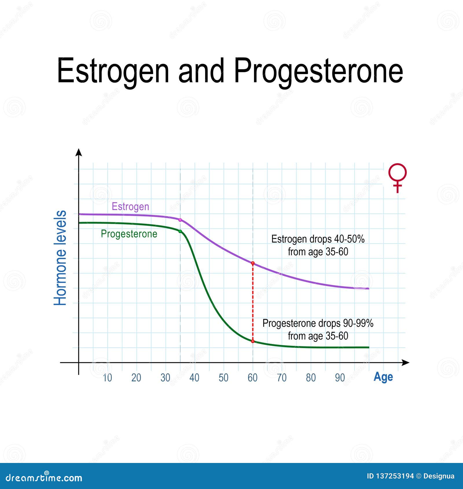 Estrogen, Progesterone and Aging Stock Vector - Illustration of anatomy ...