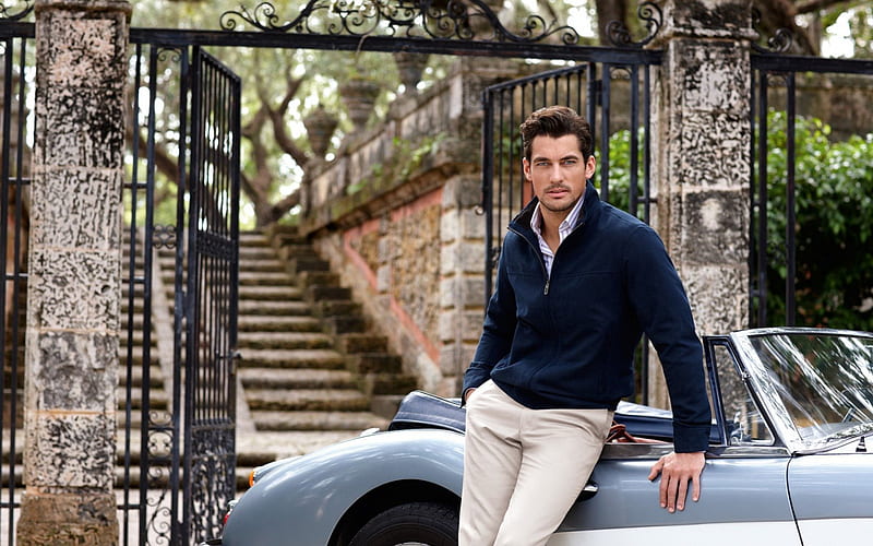 HD-wallpaper-david-gandy-male-model-car-black-man-white.jpg