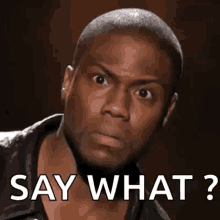 Say What GIFs | Tenor