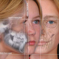 www.jawsurgerylosangeles.com