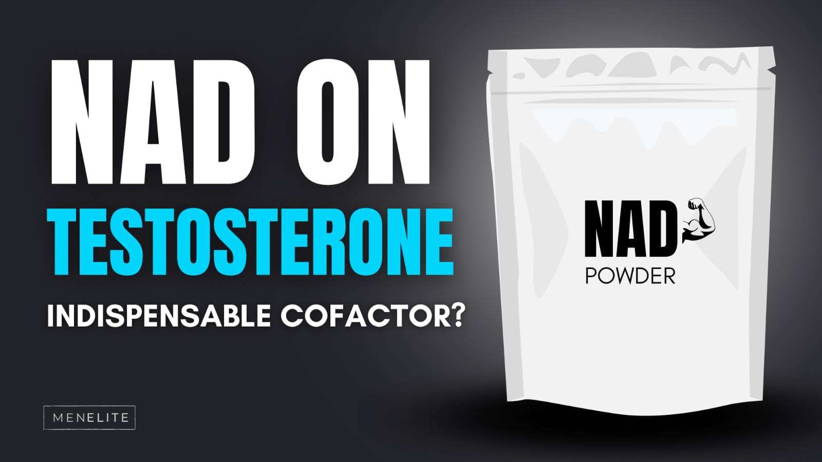 testonation.com