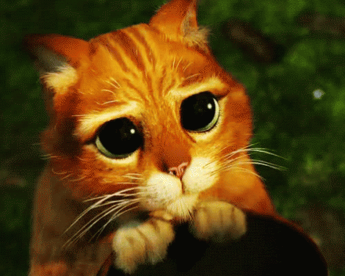 Puss In Boots Eyes GIFs | Tenor