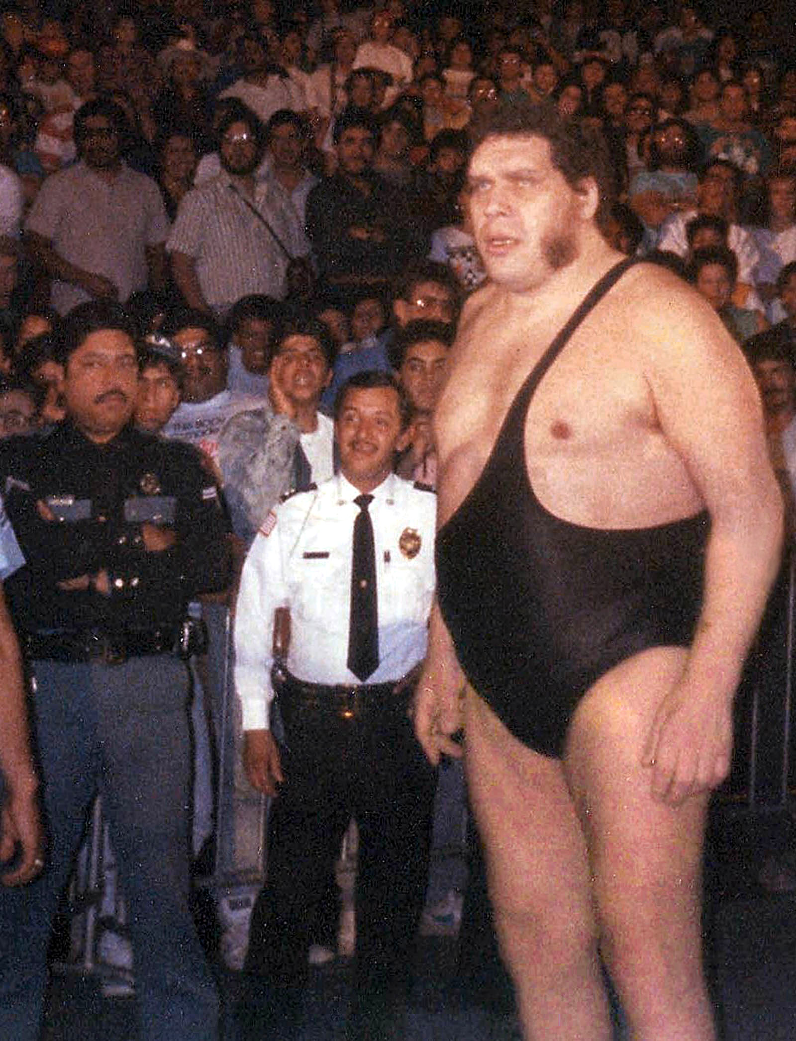 André the Giant – Wikipedia