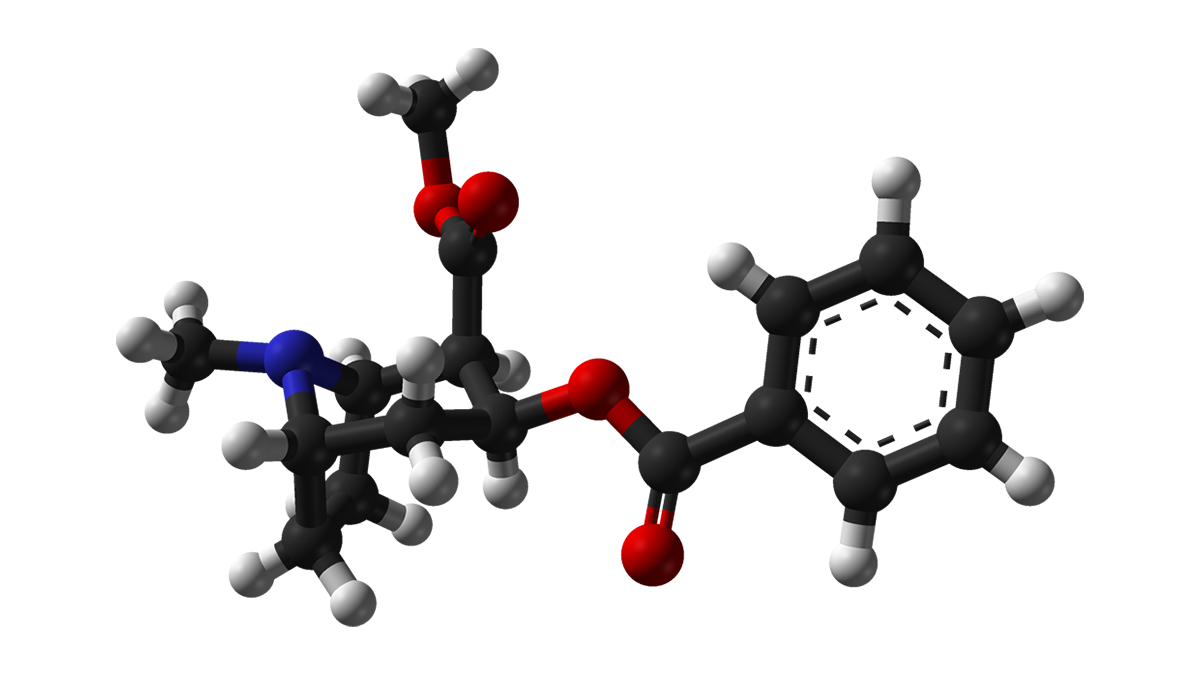 drugpolicy.org
