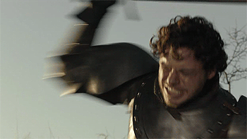 6nsl.gif