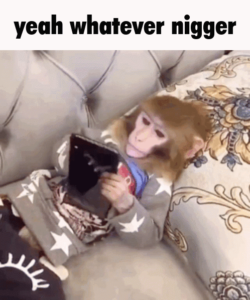 FB0641C3 C53E 4DA4 BDE9 B31470313F06 1