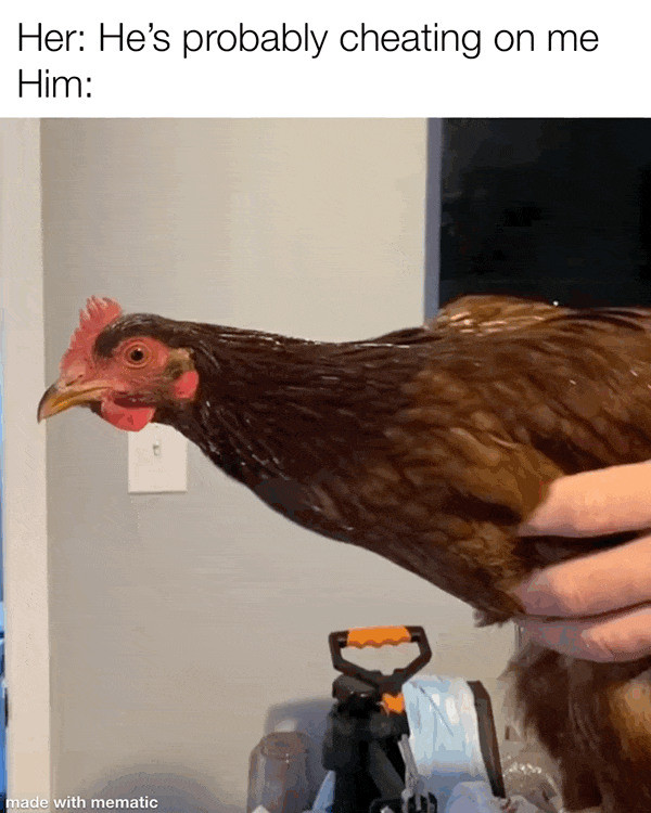 choking-the-chicken-v0-1egz9clixbz91.gif