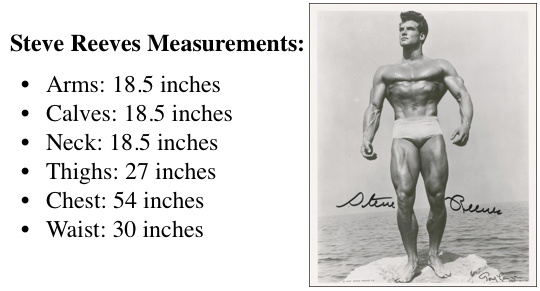 steve-reeves-measurements.jpg