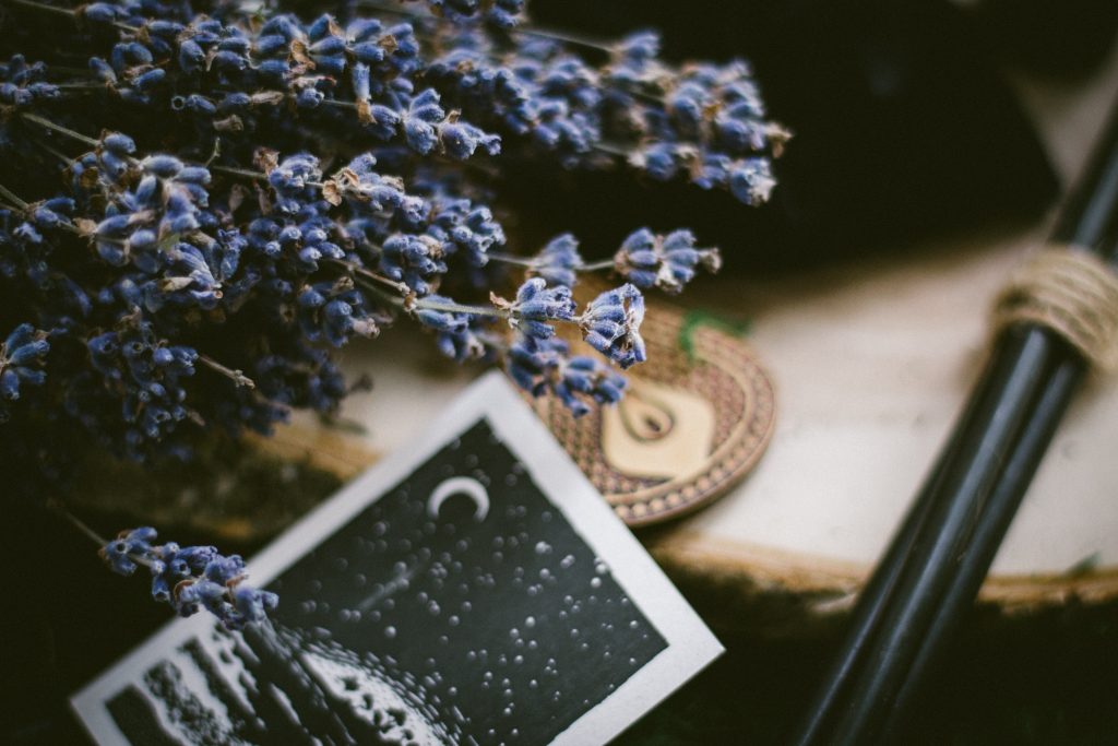 lushlunar.com