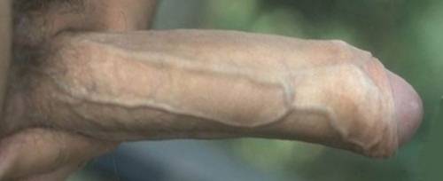 veins1.jpg