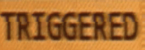 triggered-meme.gif