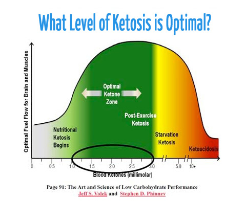 ketosistix_graph.jpg