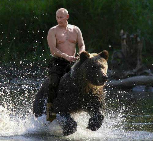 Bears and the Russian Body Politic. Watching Vladimir Putin's Press  Conference on 18 December 2014 - Allegra Lab
