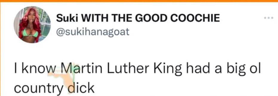 Martin Luther King had a big ol country dick : r/BrandNewSentence