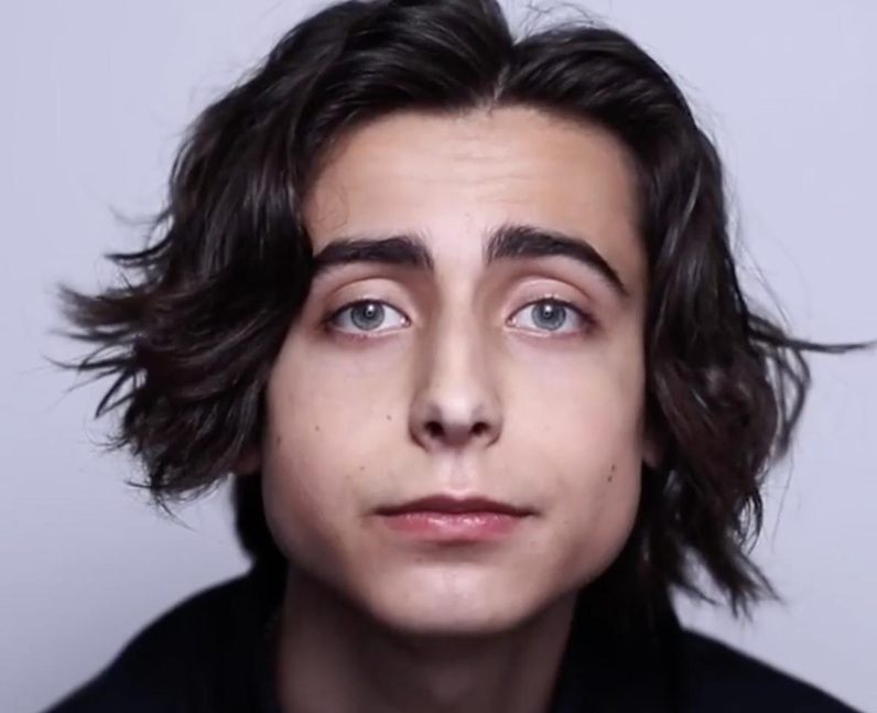 aidan-gallagher-timothee-chalamet-1596056943-view-0.png