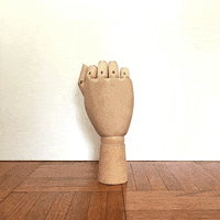 fupayme middle finger GIF by Matea Radic