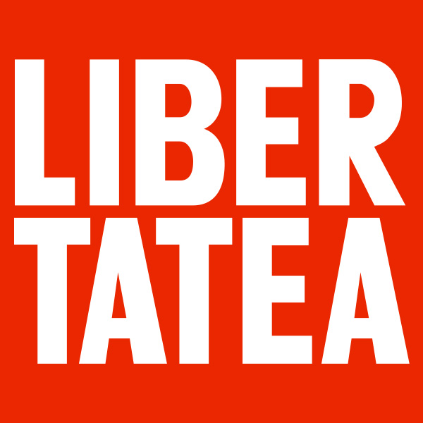 www-libertatea-ro.translate.goog