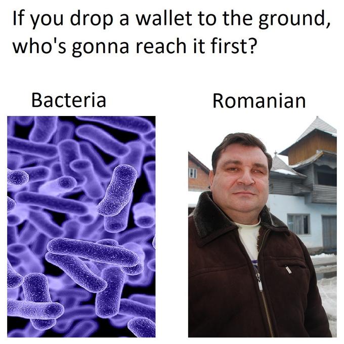 7f5.jpg