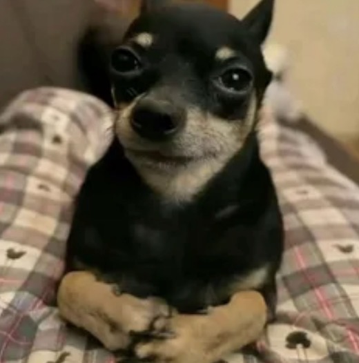 6739959_IMG_4329.jpeg