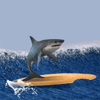 Food Loop GIF by Robbie Cobb