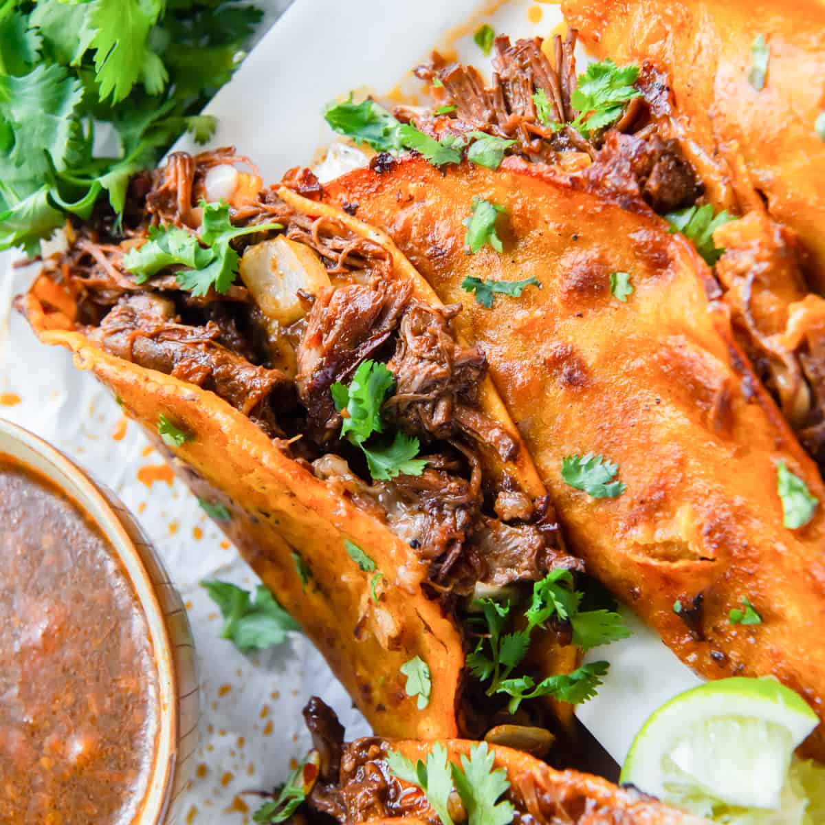 Featured-birria-tacos-1.jpg