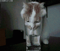 glass soi GIF
