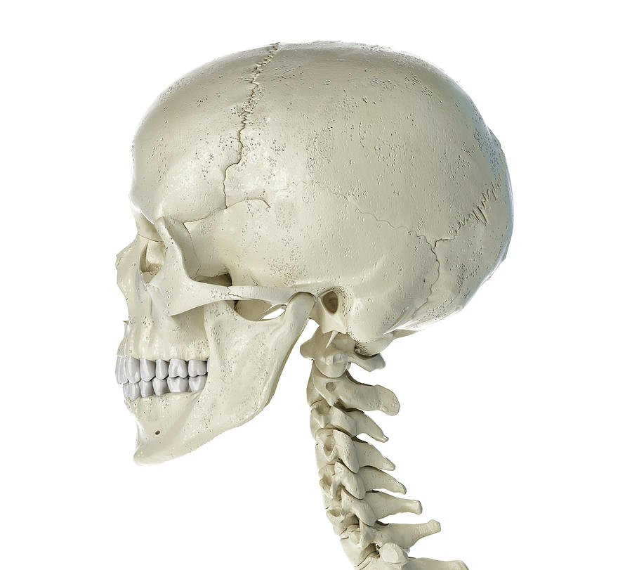 WsRlNoq.jpg