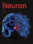www.sciencedirect.com