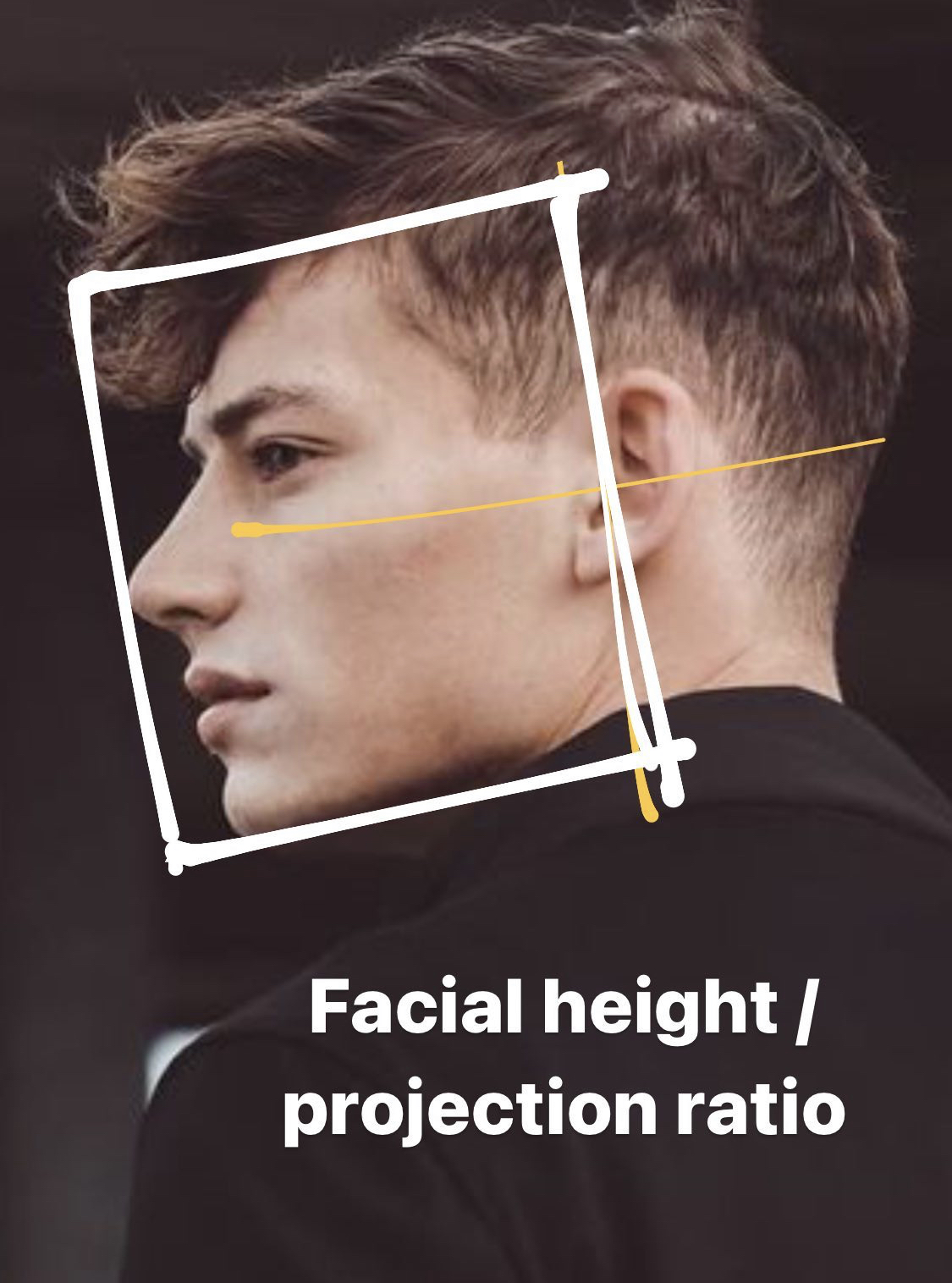 206AB7D1 F314 4779 AAEB 1383251F65AC