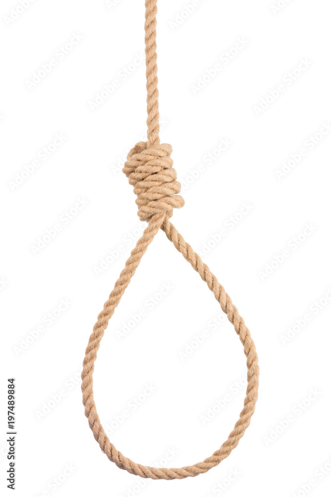 1000_F_197489884_2RahQLkVL7fAm6ov4ZciNFDZkAYAyqWr.jpg